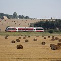 Szynobus SA 132, trasa Poznań - Wolsztyn, okolice Szreniawy, 08.08.2009 #SzynobusSA132 #Eisenbahn #kolej #kolejnictwo #lokomotywa #lokomotywy #PKP #pociąg #PojazdySzynowe #Szreniawa #Train #vlak #Zug