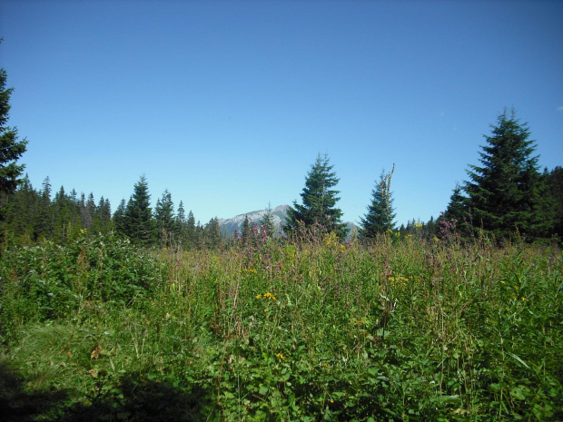 #Tatry