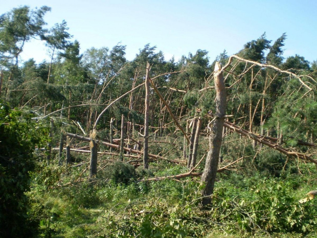 23 lipca 2009 roku przeszła u nas ogromna nawałnica . Drzewa połamane jak zapałki , zniszczone samochody , domy i budynki gospodarcze bez dachów , zniszczone linie energetyczne ... Długo by wymieniać ... Udało mi się nakręcić film z tego huraganu a tak...