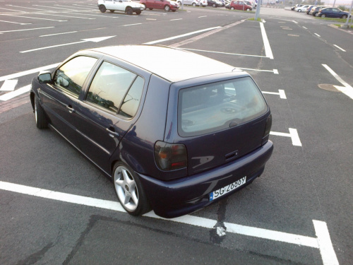 polo 6n