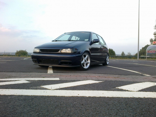 polo 6n