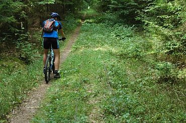 białowieża, puszcza białowiska, hajnówka, narewka, masiewo, wilczy szlak, gruszki, pogożele, teremiski #białowieża #PuszczaBiałowiska #hajnówka #narewka #masiewo #WilczySzlak #gruszki #pogożele #teremiski