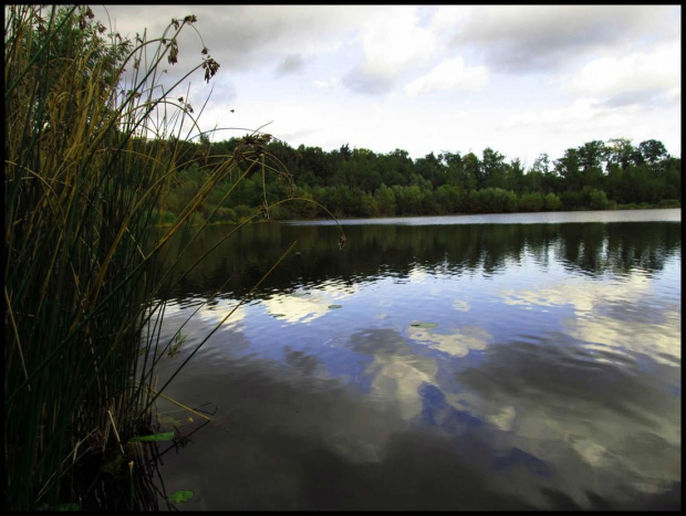 Miechowice - Dolina rzech stawów