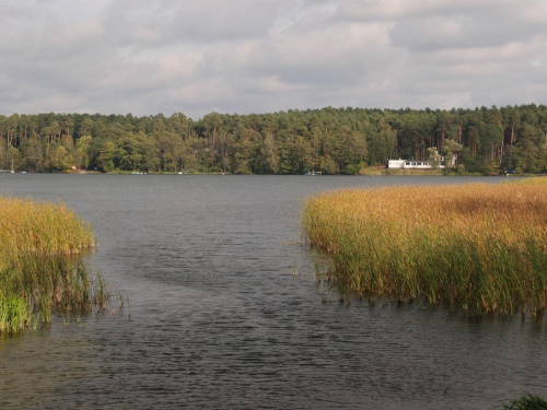 Brodnicki Park Krajobrazowy #BrodnickiParkKrajobrazowy #las #rower