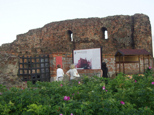 Toruń sierpien 2009