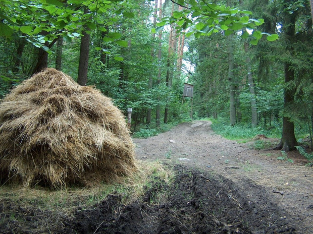 Pełen humanitaryzm : lizawka, karma i ambona dla strzelców