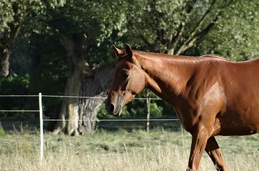 Spokój #codzienność #zoom