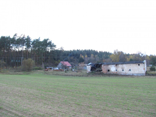 Osada Zielątkowo, po lewej w lesie Zielony dwór #Człuchów #Schlochau
