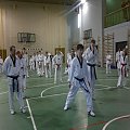 seminarium z MIstrzem Kang Cheol In 7 dan #taekwondo #tkd #walka #zawody