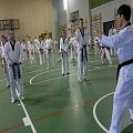 seminarium z MIstrzem Kang Cheol In 7 dan #taekwondo #tkd #walka #zawody