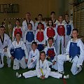 seminarium z MIstrzem Kang Cheol In 7 dan #taekwondo #tkd #walka #zawody