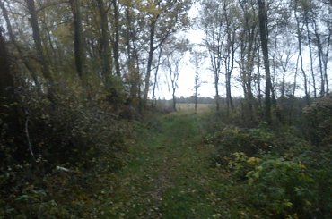 Wypad #c16nz #jamdbw #kolding #opel #vectra #viki