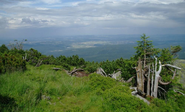 Widok ze Szrenicy #góry #Karkonosze #Szrenica