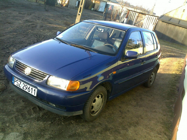 Polo