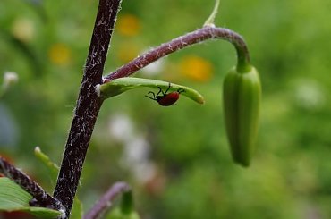 #all #piotrkow #PiotrkowTryb