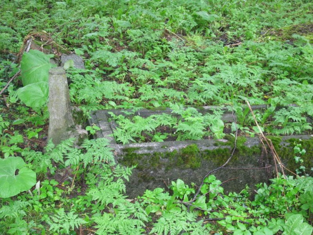 Fiszewo (warmińsko-mazurskie) - cmentarz mennonicki