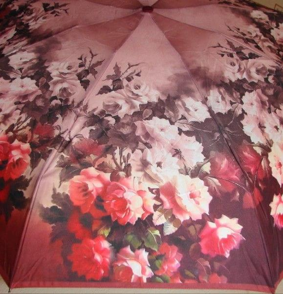 parasol zest foto series