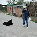 28.4.2013