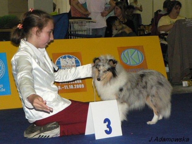 Światowa Wystawa Psów Rasowych Bratysława 2009