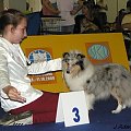 Światowa Wystawa Psów Rasowych Bratysława 2009