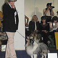 Światowa Wystawa Psów Rasowych Bratysława 2009