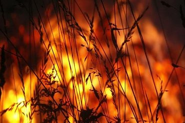 Ogień #Nightwood #Ogień #Ramki #Smoki #Żywioł