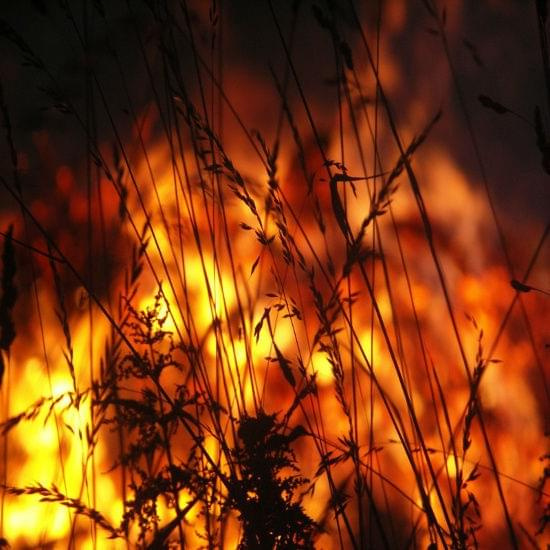 Ogień #Nightwood #Ogień #Ramki #Smoki #Żywioł