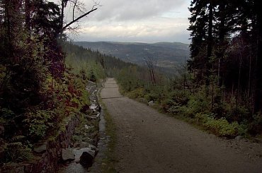 Powrót żółtym szlakiem_2 #góry #Karkonosze #SzklarskaPoręba #Szrenica #widok #las