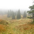 jesienna mgła w Karkonoszach #góry #Karkonosze #SzklarskaPoręba #Szrenica #widok #las