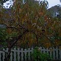 Jesień - 24.10.2009