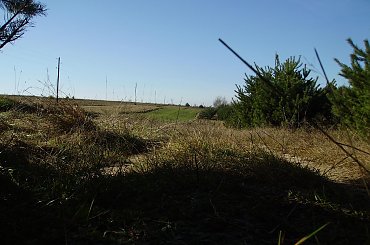 JESIEŃ W PEŁNI #jesień #jesien #kolory #ciepło #natura #macro #działka #pole #drzewa #las #liscie