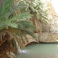 Tunezja-Góry Atlas oaza Chebika.