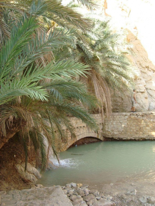 Tunezja-Góry Atlas oaza Chebika.