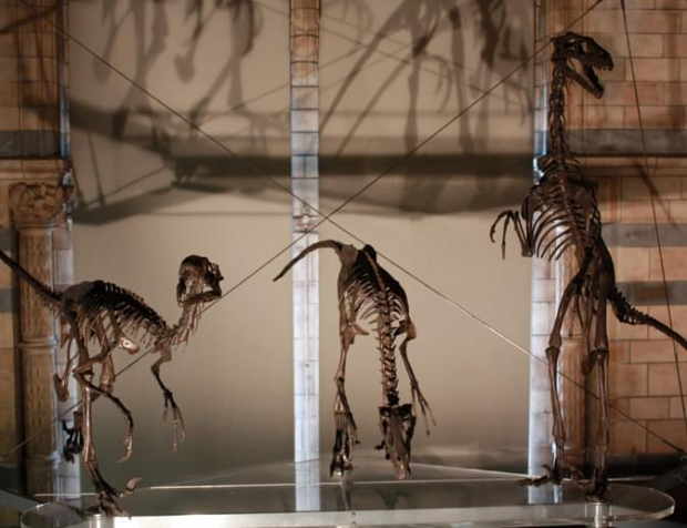 natural history museum