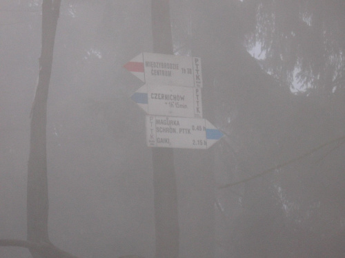 Przynajmniej szlak jest dobrze oznakowany #Góry #BeskidMały #Czupel #MagurkaWilkowicka
