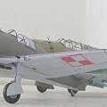 PZL.50a