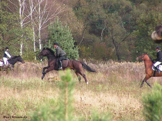 2008.10.18 Hubertus I