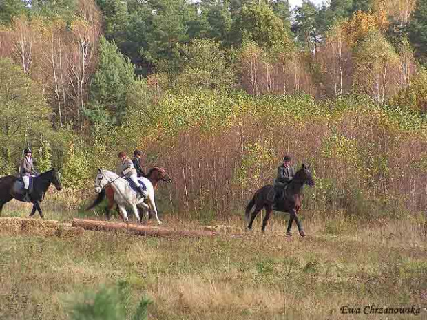 2008.10.18 Hubertus I