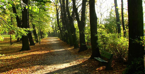 Park w Jaworze jesienią #Jawor #przyroda #krajobraz #park #jesień