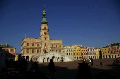 zamość 2008 LSM