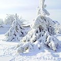 Mroźna zima. Małopolska Osiek/k Olkusza. Zdjęcia robione w pewien nudny dzień bez prądu.