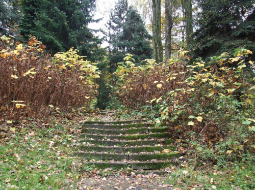 Jesiennie w Parku w Chorzowie #Jesień #Schody