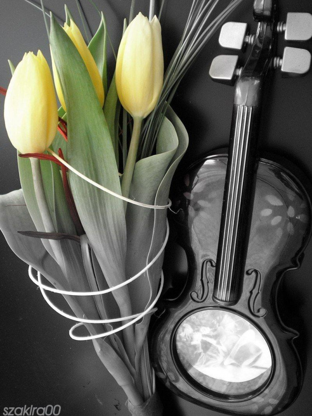 kwiaty i muzyka #bukiet #tulipany #muzyka #ŻółteTulipany