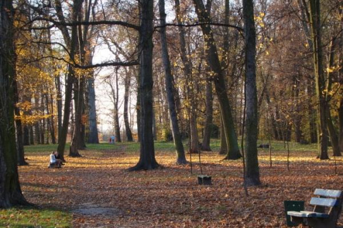 Park późną jesienią #JesieńWParku