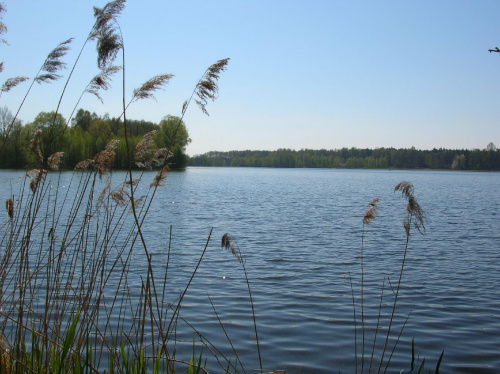 Jezioro w Antoninie.