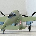 PZL-38 Wilk