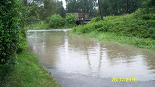 Złocień Bieżanów 28.07.10.