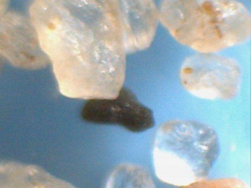 Zdjęcia mikroskopowe piasku mioceńskiego z Klifu Redłowskiego.