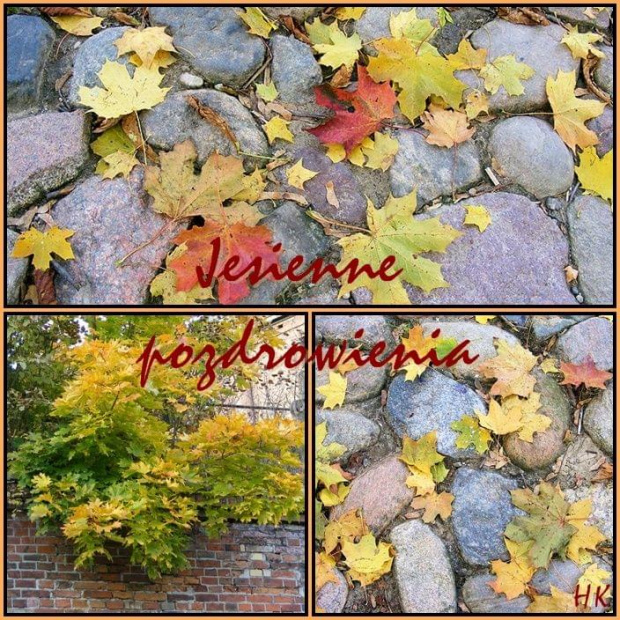 Pozdrawiam jesiennie wszystkich-Halina #liście #jesień #kolory