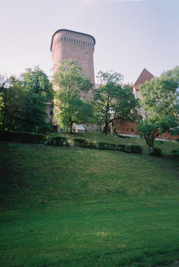 WAWEL